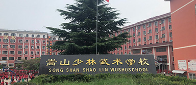 嵩山少林武术学院学校新闻