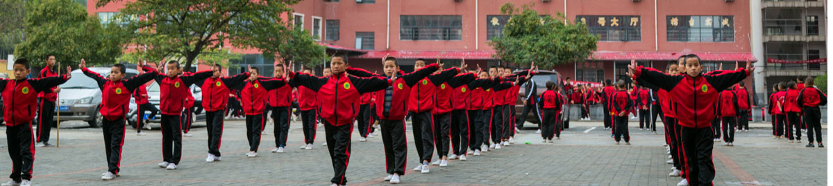 河南嵩山少林武术学校官方网站