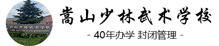 河南登封嵩山少林寺武术学校官方网站